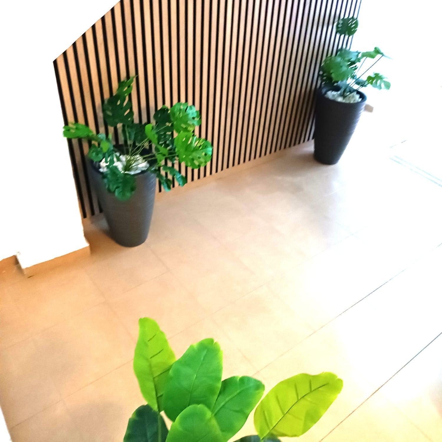Apartamentos Terrazas De San Juan Málaga Dış mekan fotoğraf