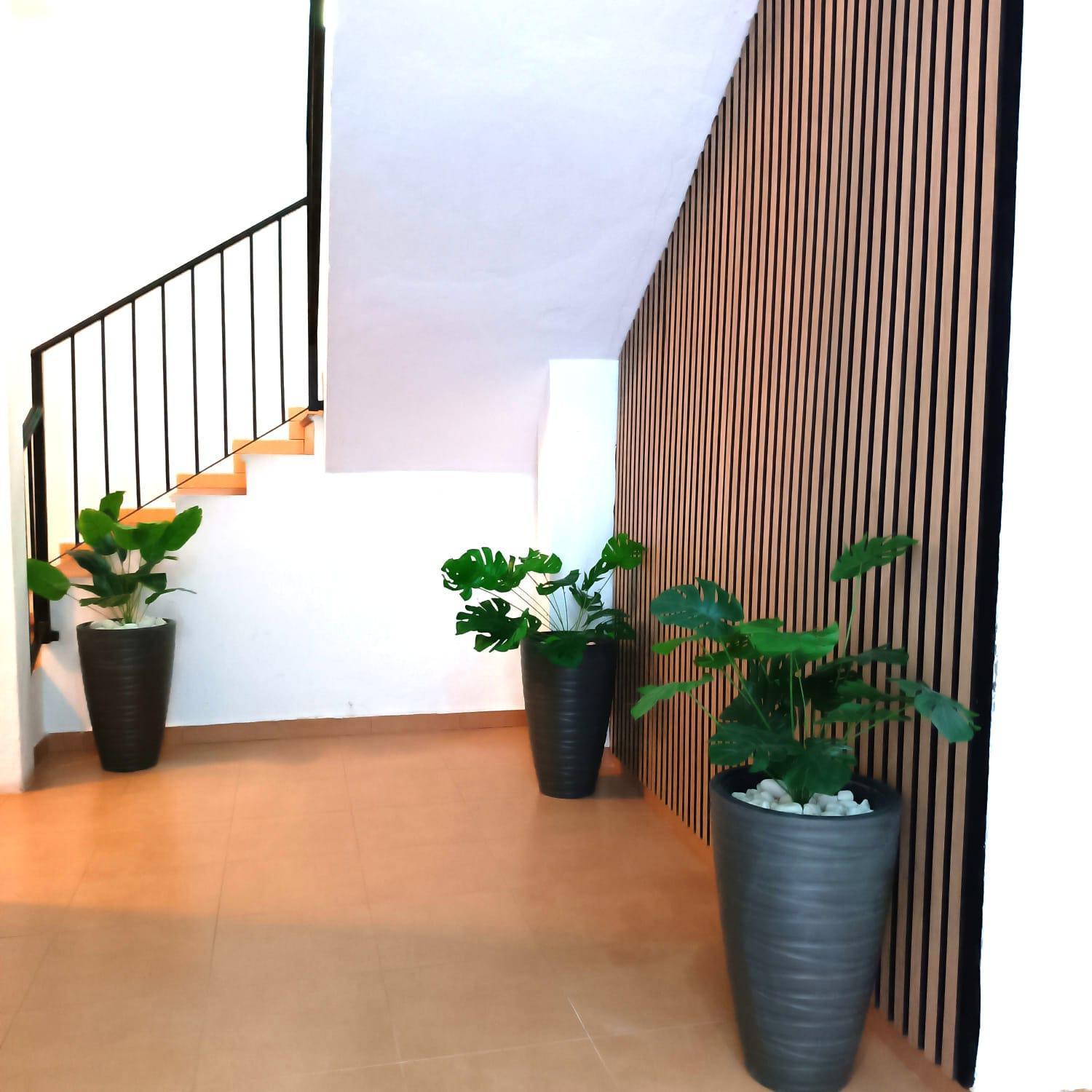 Apartamentos Terrazas De San Juan Málaga Dış mekan fotoğraf